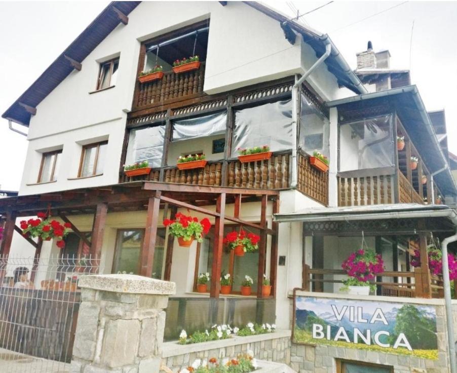 Vila Bianca Busteni Ngoại thất bức ảnh